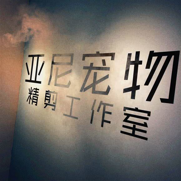 YANI亚尼狗狗精剪工作室:沈阳市大东区大东广场附近