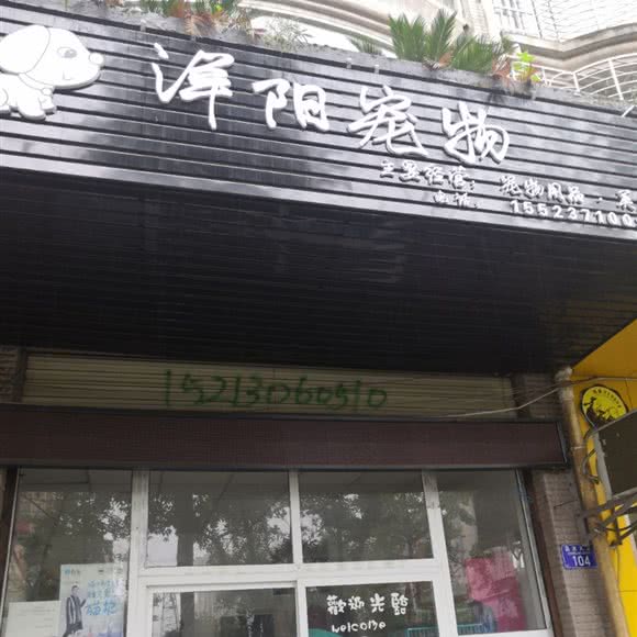 洋阳宠物:重庆城区荣昌区