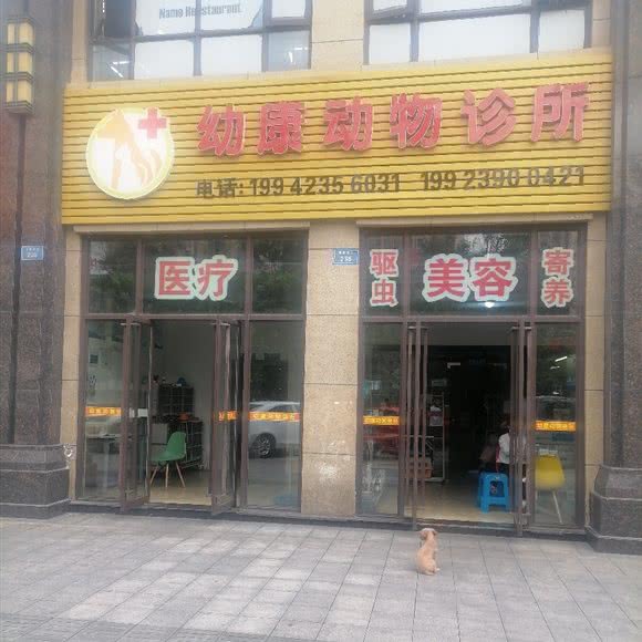幼康动物诊所:重庆城区荣昌区