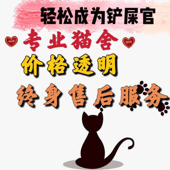 丹妮?猫舍(萌猫在售):沈阳市大东区大东广场附近