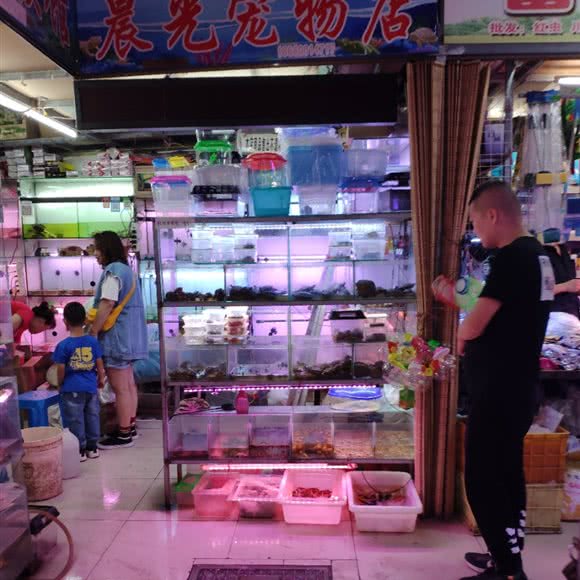 晨光宠物店:沈阳市大东区大东广场附近