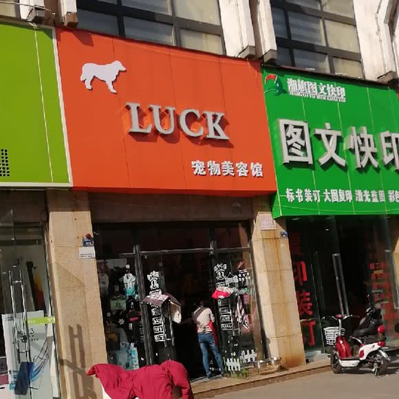 LUCKY宠物狗生活馆:成都市金牛区
