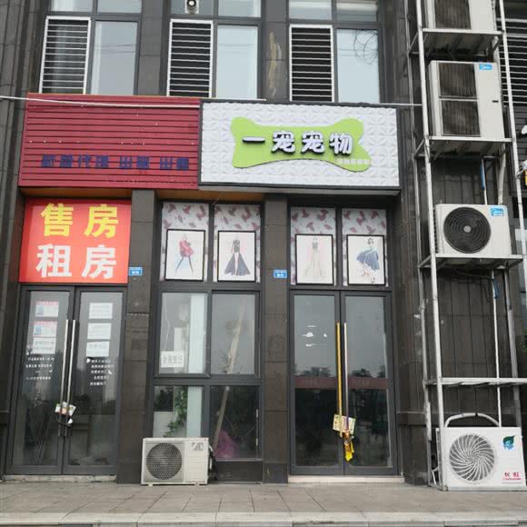 一宠宠物:成都市成华区