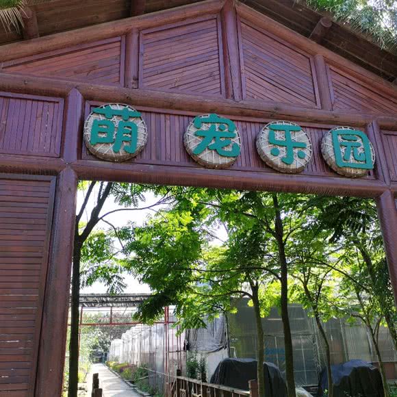 萌宠乐园:成都市龙泉驿区