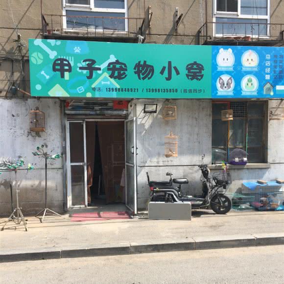 甲子宠物小窝:沈阳市大东区大东广场附近