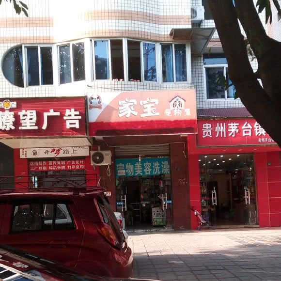 家宝宠物屋:成都市龙泉驿区