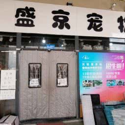 宠物用品:沈阳市大东区大东广场附近