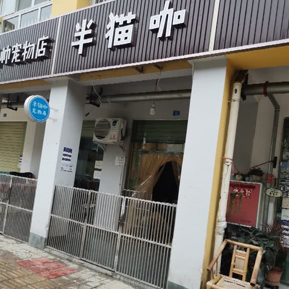 半猫咖:成都市龙泉驿区