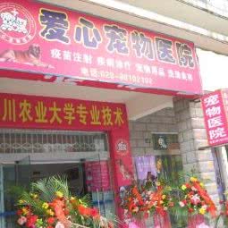 爱心宠物诊所:成都市龙泉驿区