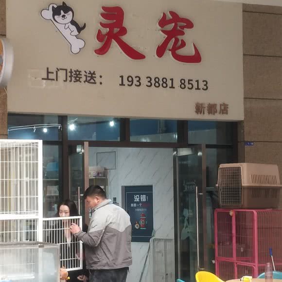 灵宠:成都市新都区