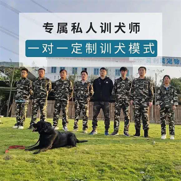 莫利莫训犬学校(新都校区):成都市新都区