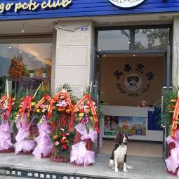 宾果宠物:成都市新都区