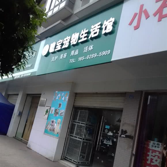 嗷宝宠物生活馆:成都市新都区