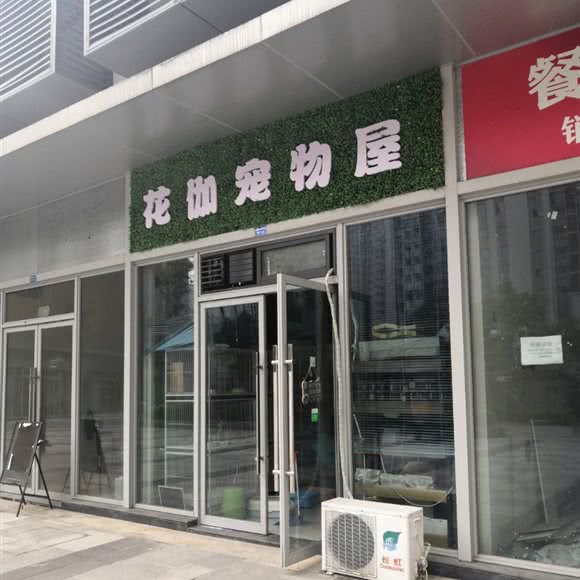 布丁宠物店:成都市新都区
