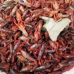 旺旺宠物店:成都市新都区