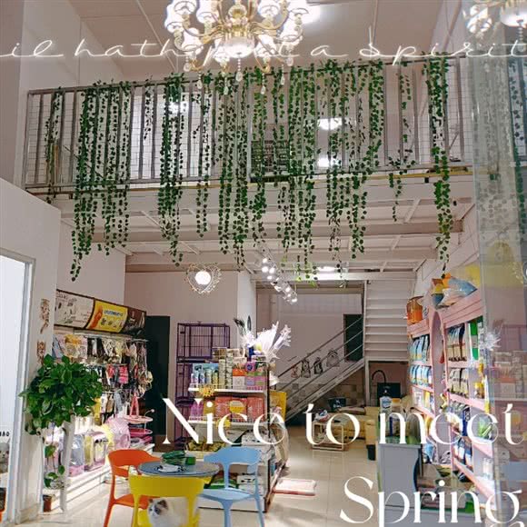 小狗当家宠物生活馆:成都市新都区