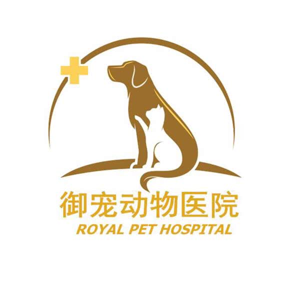 御宠动物医院:成都市新都区