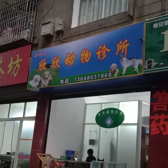 新都区欣欣动物诊所:成都市新都区