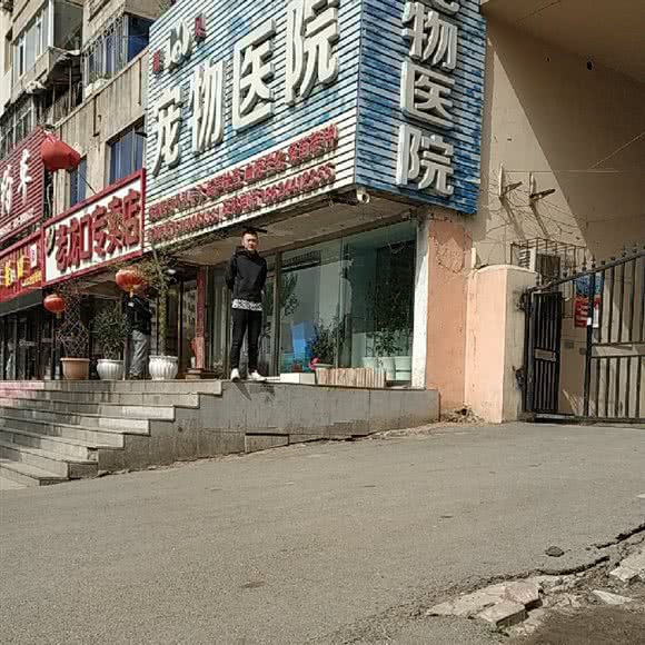 靓贝宠物医院:沈阳市大东区大东广场附近