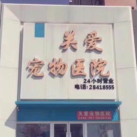 瑞派关爱宠物医院:沈阳市大东区大东广场附近
