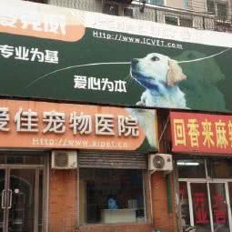 爱佳宠物医院:沈阳市大东区大东广场附近