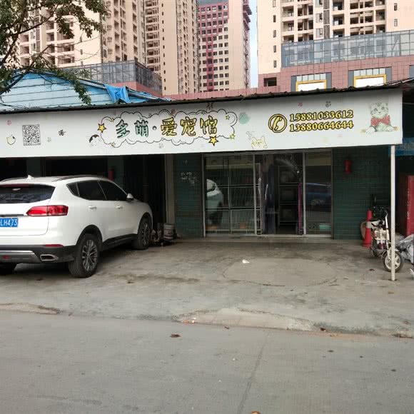 多萌·爱宠馆:成都市温江区