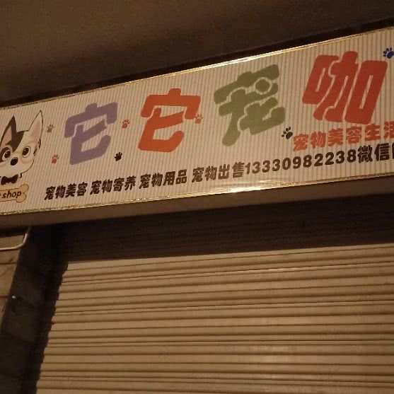 它它宠咖:成都市温江区