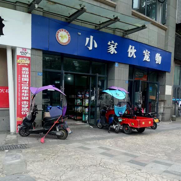 小家伙宠物(光华大道三段店):成都市温江区