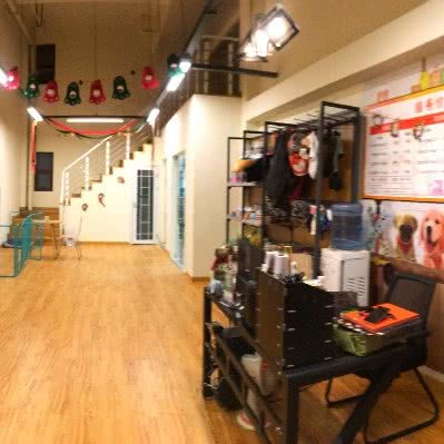 派多格宠物(涌泉花土路店):成都市温江区