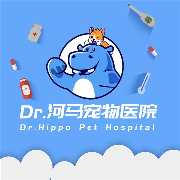 河马动物医院:成都市温江区