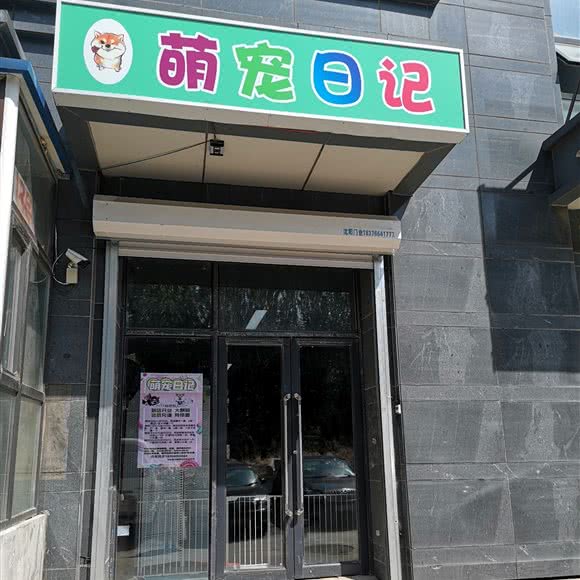 萌宠日记:沈阳市大东区望花附近