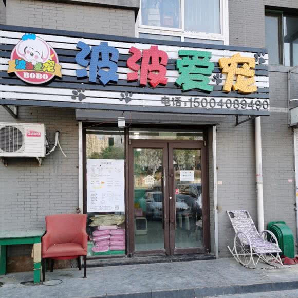 波波爱宠:沈阳市大东区望花附近