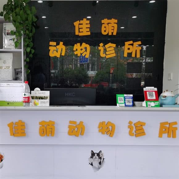佳萌宠物诊所:成都市温江区