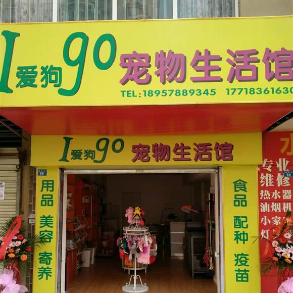 爱狗宠物生活馆(爱狗宠物生活馆总店):成都市双流区