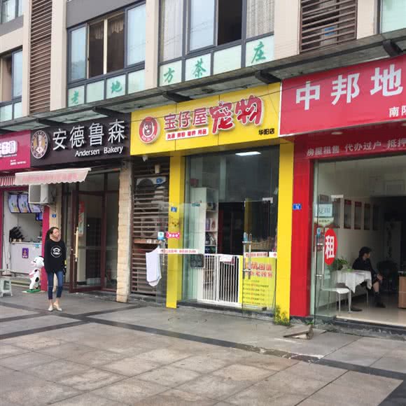 宝仔屋宠物美容:成都市双流区