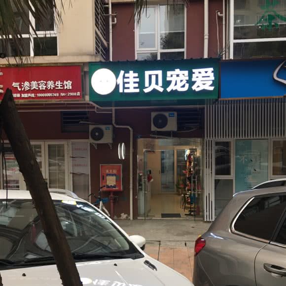 佳贝宠爱:成都市双流区