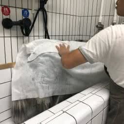 Pet+陪它宠物店:成都市双流区
