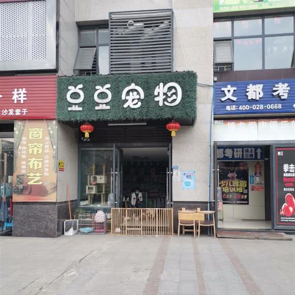 豆豆宠物狗:成都市双流区