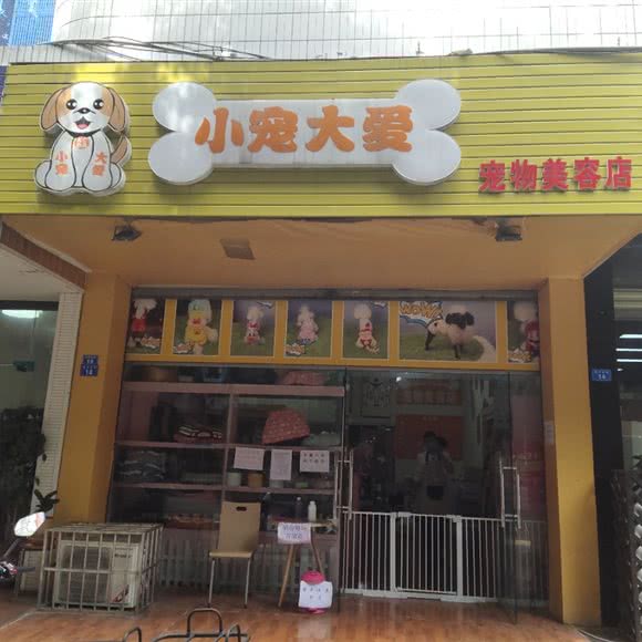 小宠大爱宠物美容店:成都市双流区