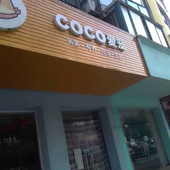 COCO爱宠:成都市双流区