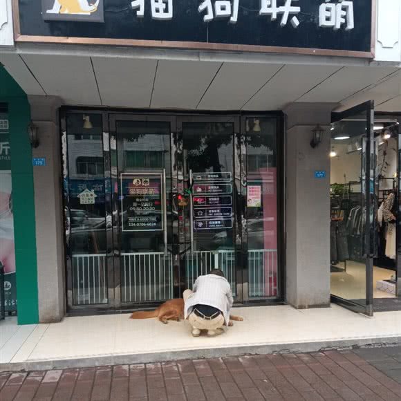 猫狗联萌宠物生活馆:成都市双流区