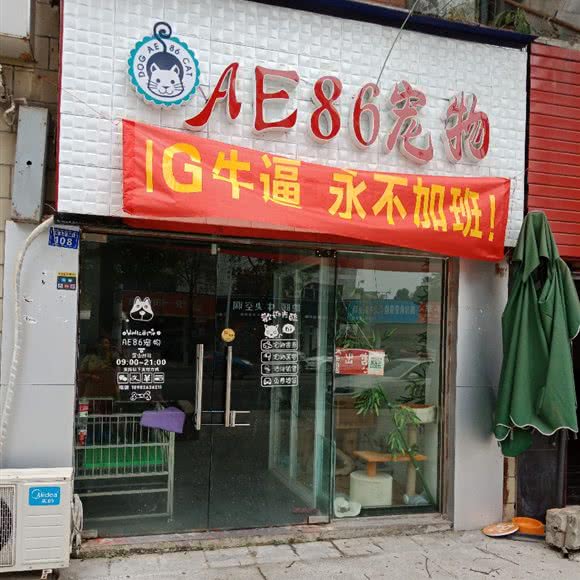 AE86宠物:成都市双流区