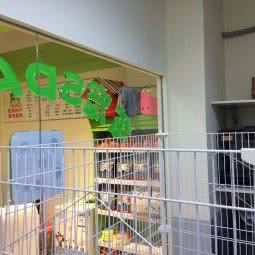 炫宠SPA宠物会所:成都市双流区