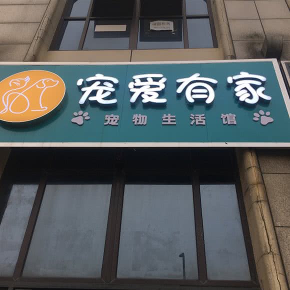 宠爱有家:成都市双流区