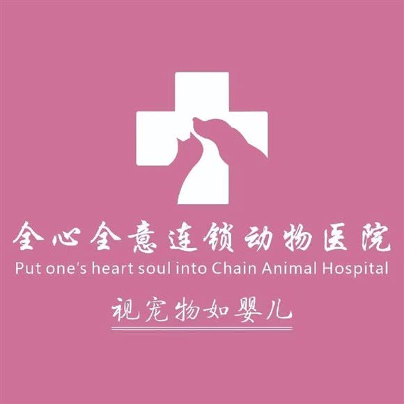 全心全意连锁动物医院(石佛营店):北京城区朝阳区石佛营附近