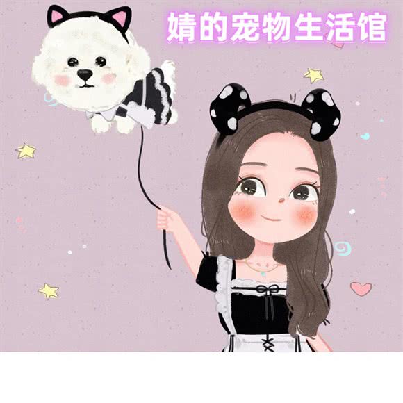 婧的宠物生活馆:成都市双流区