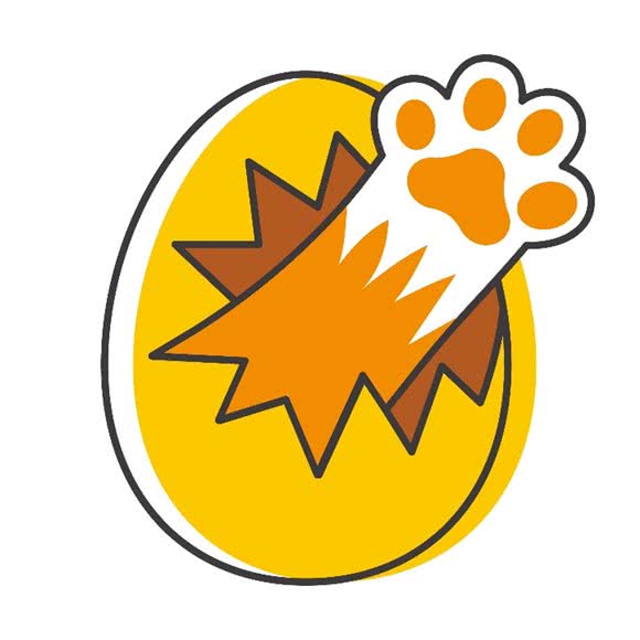 蛋壳小屋24星期自助宠物店:成都市双流区