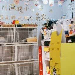 心灵兽宠物:成都市双流区