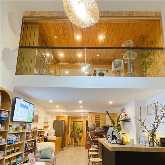 星匠宠物店:成都市双流区