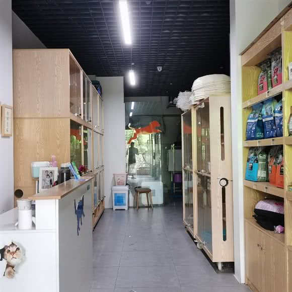 芒果猫舍:成都市双流区